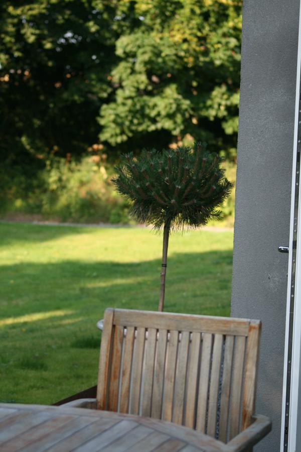 The Wendy Hoose Bed and Breakfast Nairn Exterior foto